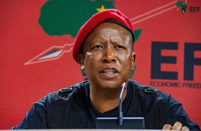 Julius Malema is determined to ace 2024 national elections.