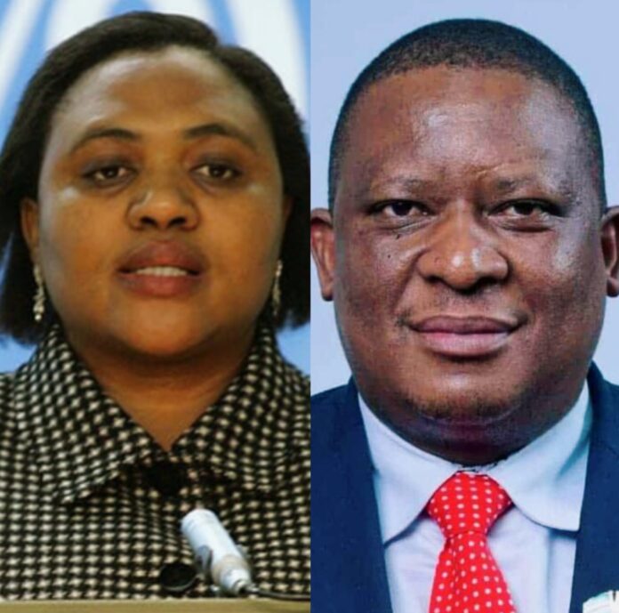 Collage of South Africa Minister of Agriculture (left) and her Botswana counterpart Molebatsi Molebatsi.