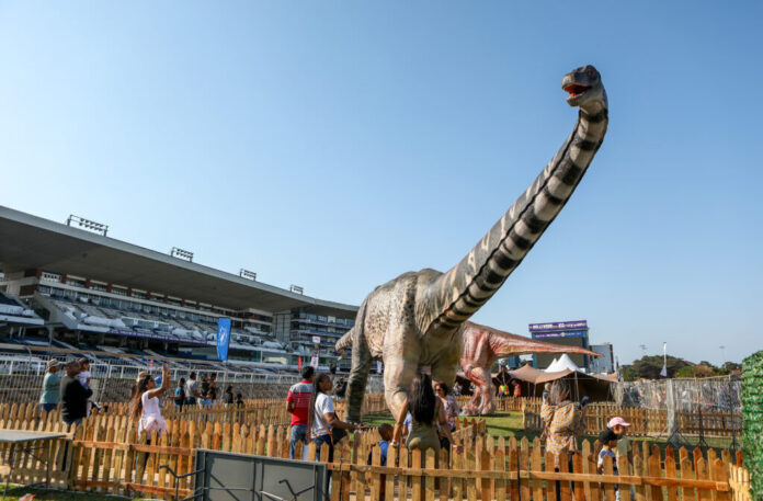 The legendary Tyrannosaurus Trail at the Rand Show 2024 is a rugby field sized area, featuring a heart-pounding journey into the past.
