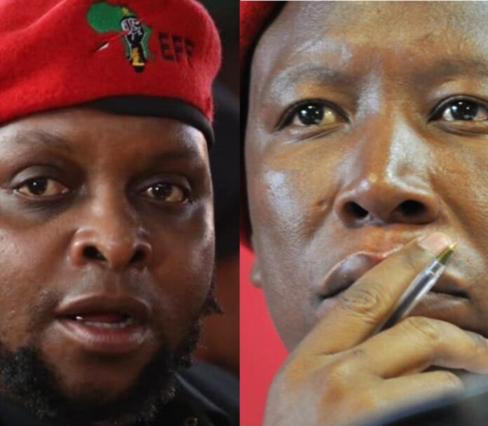 Picture collage of former EFF Deputy President Floyd Shivambu and party leader Julius Malema