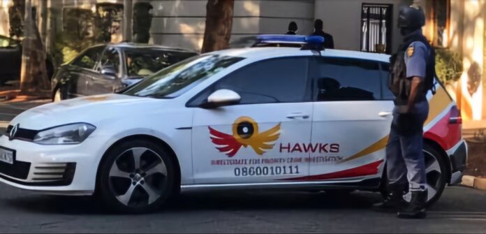 South African Hawks