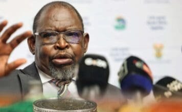 Finance Minister to announce fuel levy decision ahead of May price surge Finance Minister Enoch Godongwana at a media briefing discussing South African fuel levy decisions and fiscal policy.