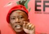 Malema sentencing looms as court signals tough stance File: EFF leader Julius Malema at a political event.