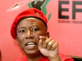 Malema sentencing looms as court signals tough stance File: EFF leader Julius Malema at a political event.