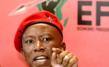 Malema sentencing looms as court signals tough stance File: EFF leader Julius Malema at a political event.