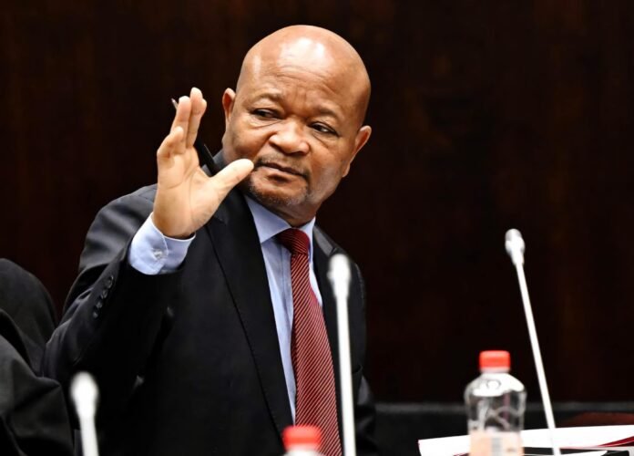 South African Police Minister Senzo Mchunu placed on leave