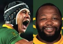 From Kolbe’s return to Ox’s vice-captaincy — inside the Boks’ new squad for Cape Town Springbok's Kolbe and Ox Nche