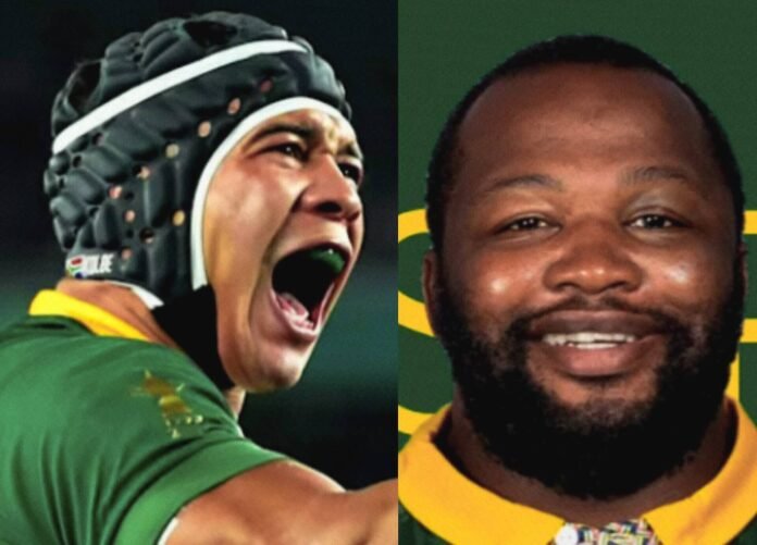 Springbok's Kolbe and Ox Nche
