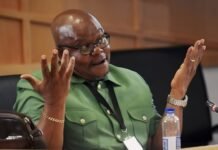 Senona admits leaking PKTT investigators’ details to ‘Cat’ Matlala KwaZulu-Natal Hawks head Major-General Lesetja Senona gestures during testimony at the Madlanga Commission of Inquiry into leaked investigators’ details and alleged connections to Vusimuzi “Cat” Matlala.