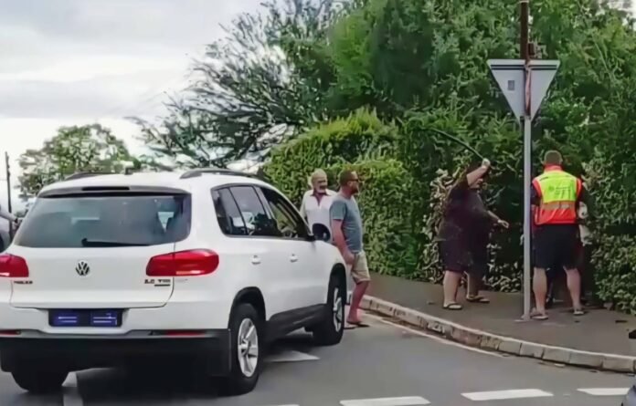 White Volkswagen Tiguan parked on Van Der Riet Street in Oudtshoorn, with adults nearby—one in a safety vest and a woman raising a whip—amid trees and overcast skies.