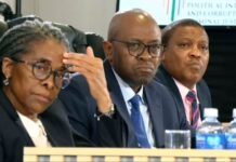 Cash-stuffed jackets and cartel hits: The unmasking of Sgt Fannie Nkosi at the Madlanga Commission Chairperson Justice Mbuyiseli Madlanga and Commissioner Sesi Baloyi SC presiding over the Madlanga Commission of Inquiry in Pretoria.