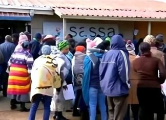 SASSA under pressure: Queues grow as 43 officials are fired and Gold Card deadline nears SASSA beneficiaries queue outside an office in the cold to resolve blocked payments and the review backlog.