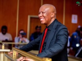 Five years, zero nights in jail: How Julius Malema’s legal team outmanoeuvred the State Julius Malema in court during gun trial sentencing proceedings