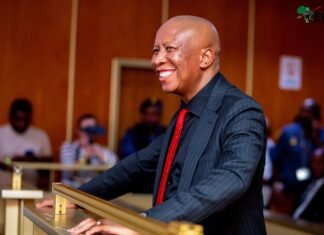Five years, zero nights in jail: How Julius Malema’s legal team outmanoeuvred the State Julius Malema in court during gun trial sentencing proceedings
