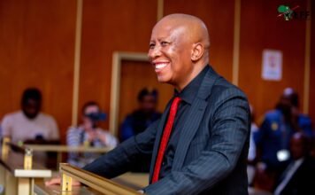 Five years, zero nights in jail: How Julius Malema’s legal team outmanoeuvred the State Julius Malema in court during gun trial sentencing proceedings