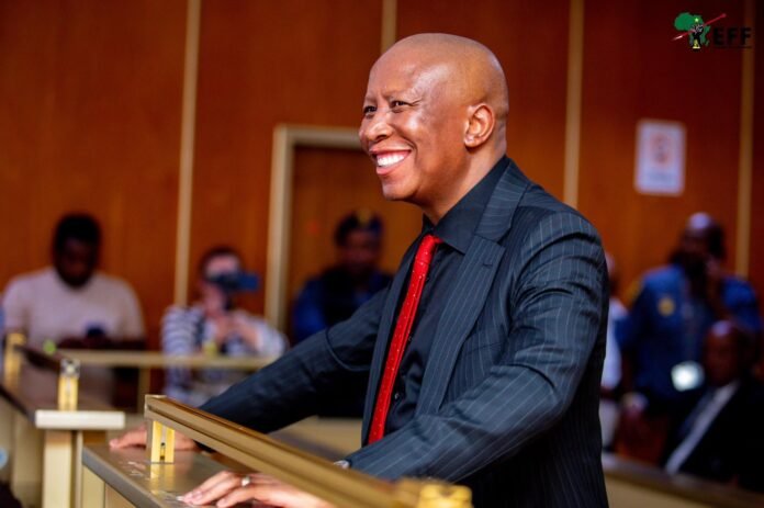Julius Malema in court during gun trial sentencing proceedings