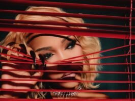 7 nominations, zero wins: what happened to Zee Nxumalo at the Metros? Zee Nxumalo portrait with red blinds and dramatic lighting