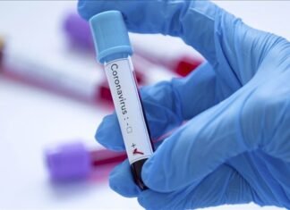 Hantavirus update: 97 contacts monitored across Gauteng and Western Cape A gloved hand holding a positive blood sample test tube in a laboratory setting representing hantavirus diagnostic testing.