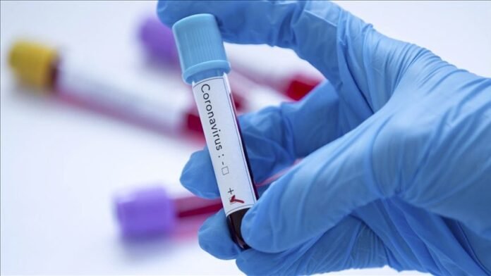 A gloved hand holding a positive blood sample test tube in a laboratory setting representing hantavirus diagnostic testing.