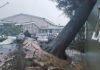 Western Cape schools shut as storm danger grows — here’s when classes may return Uprooted tree collapsed against a building at Somerset West Primary School after severe storms, flooding and strong winds hit the Western Cape in May 2026.