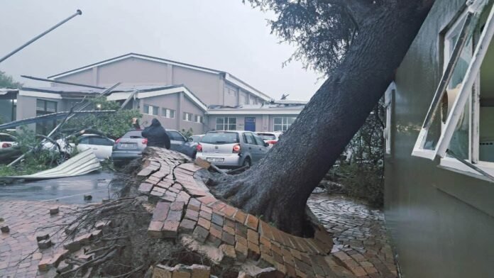 Uprooted tree collapsed against a building at Somerset West Primary School after severe storms, flooding and strong winds hit the Western Cape in May 2026.