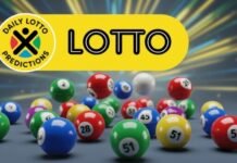 Lotto results: Wednesday, August 12 — Lotto Plus 1 and Lotto 5 Max winning numbers Lotto results graphic featuring colourful numbered lottery balls and a prominent yellow Lotto banner.