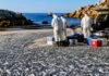 Sardine mortality investigation points increasingly to PHV Hazmat-suited workers collect dead sardines on a South African beach for testing