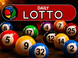 Daily Lotto results: Check Thursday, September 24 winning numbers and payouts Daily Lotto logo above colourful numbered lottery balls on a dark background