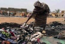 Field executions Emerge in Sudan amid army violations against civilians A person stands among charred debris and burned belongings in a devastated area of Sudan’s Darfur region.